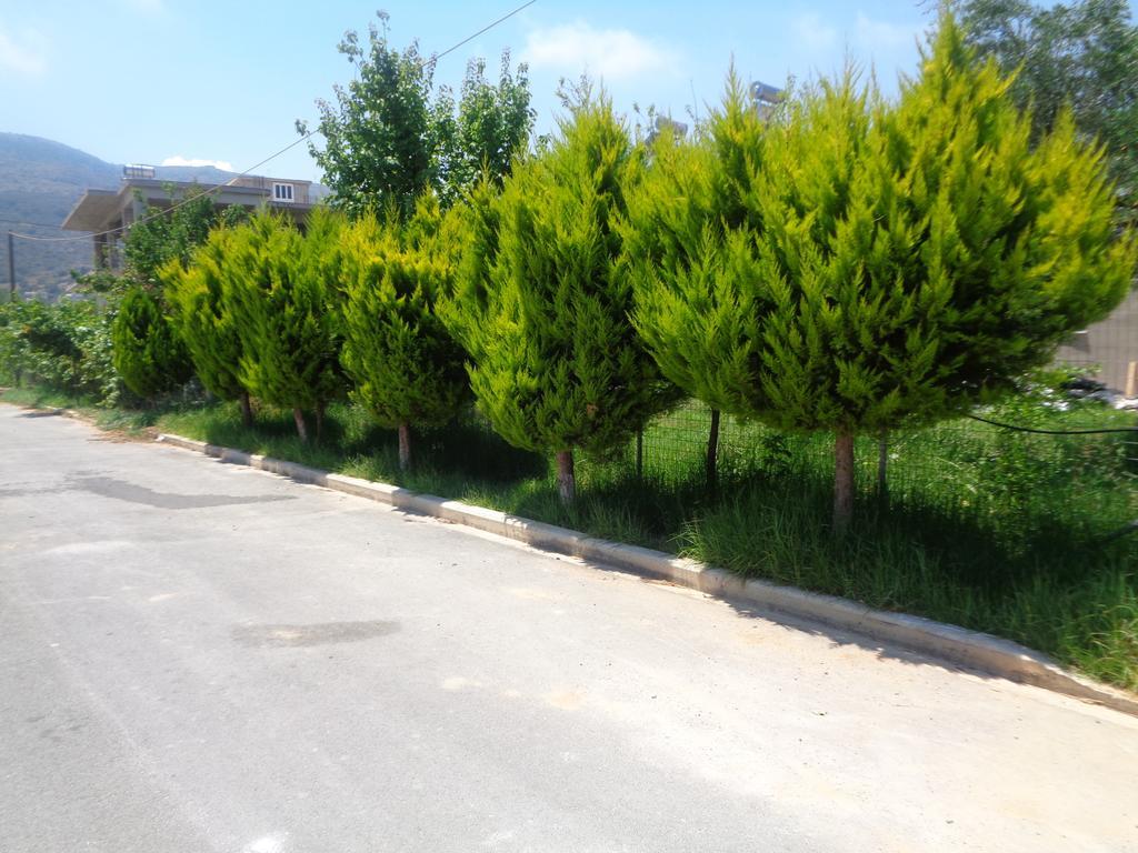 Creta Nostos Luxury Apartment Tsikalaria  Dış mekan fotoğraf